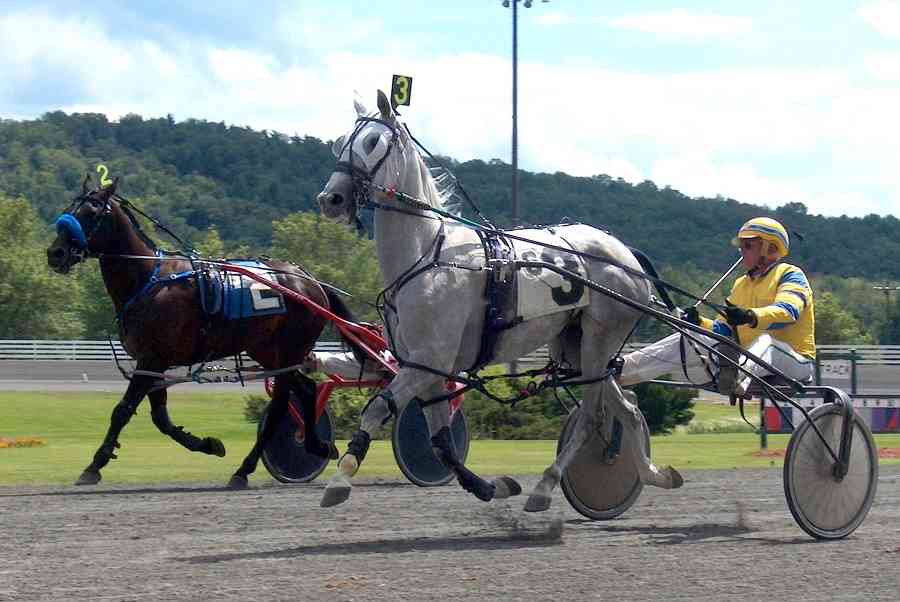Harness Horse Racing