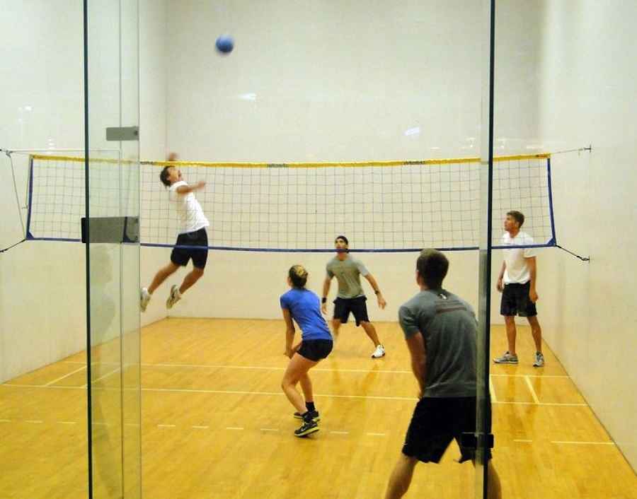 Wallyball Volleyball