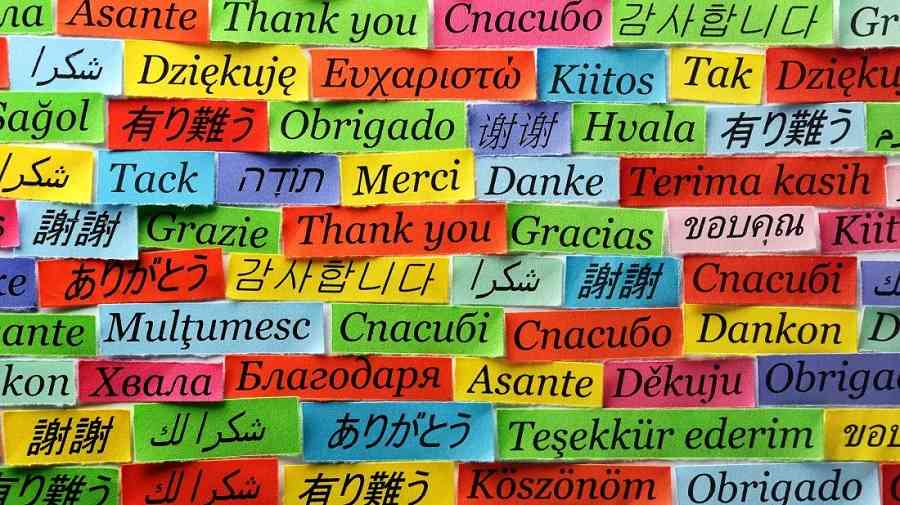 Supported Languages