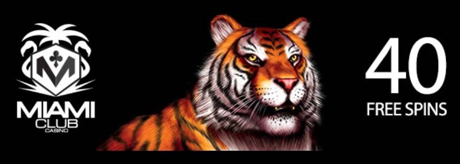 Take 40 Free Spins No Deposit Required For King Tiger Slot