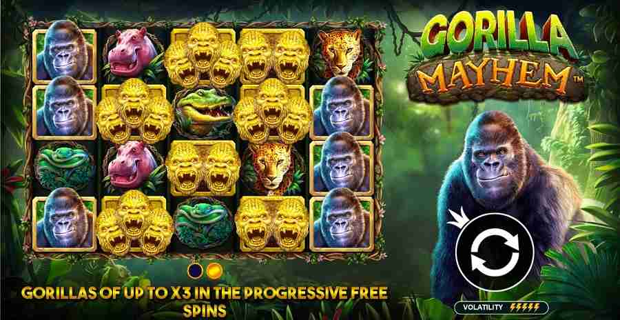 Win Up To 130 Free Spins On "Gorilla Mayhem" Slot Every Wednesday