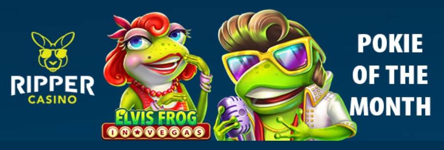 Play Pokie Of The Month: Elvis Frog In Vegas