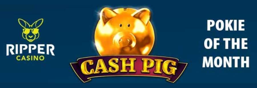 Get $20 Free Chip For Pokie Of The Month Cash Pig