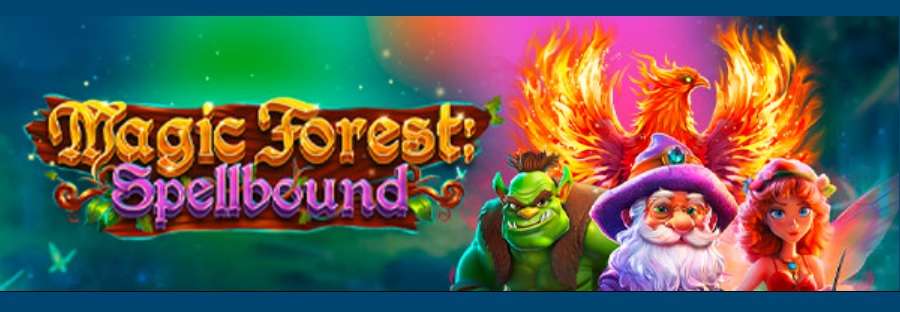 333% Up To $3000 + 33 Free Spins On Magic Forest Spellbound